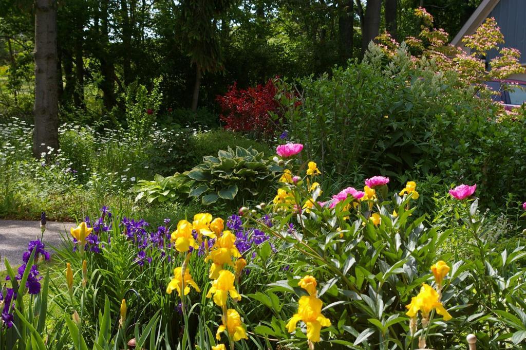 Niagara-on-the-Lake Royal Manor Bed & Breakfast المظهر الخارجي الصورة
